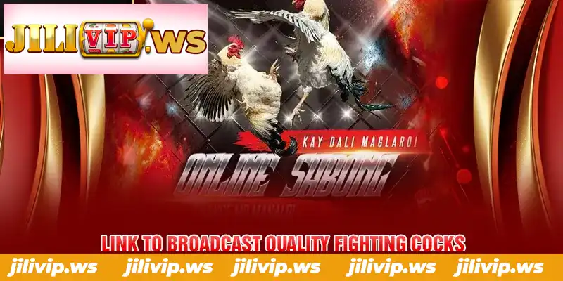 LINK TO BROADCAST QUALITY FIGHTING COCKS LINK TO BROADCAST QUALITY FIGHTING COCKS