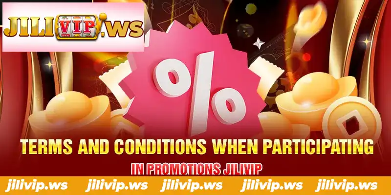 TERMS AND CONDITIONS WHEN PARTICIPATING IN PROMOTIONS JILIVIP